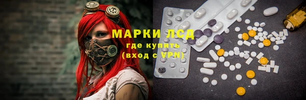 крисы Алзамай