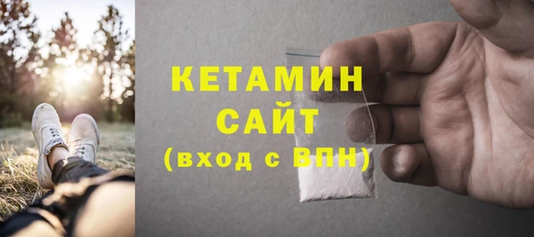 гашик Няндома