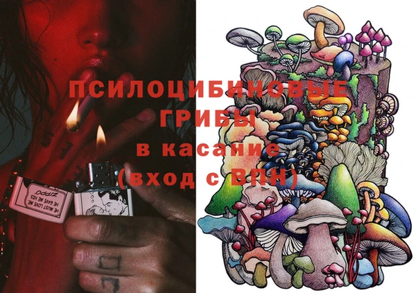 крисы Алзамай