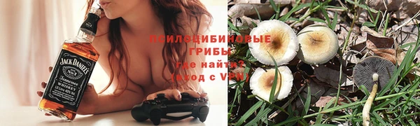 ГАЛЛЮЦИНОГЕННЫЕ ГРИБЫ Алексеевка