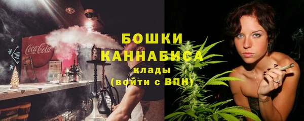 гашик Няндома