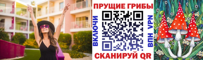 Галлюциногенные грибы Cubensis Баймак